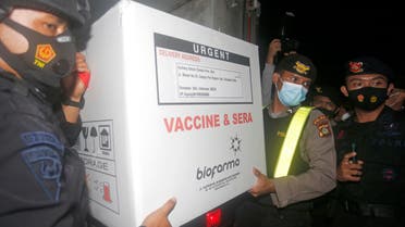 Indonesian security officers carry a box containing coronavirus vaccines upon its arrival in Bali, Indonesia on Tuesday, Jan. 5, 2021. Indonesian health ministry has started distribution of the Sinovac Biotech COVID-19 vaccine across the country. Indonesia has reported more cases of the virus than any other countries in Southeast Asia and second in Asia only to India. (AP Photo/Firdia Lisnawati)