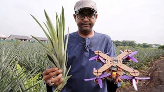 Malaysian research team turns pineapple waste into disposable drone frames