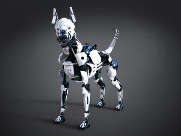 روبوت كلب - تعبيرية
