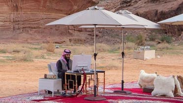 Saudi Arabia's Crown Prince participates in a World Economic Forum dialogue session. (SPA)