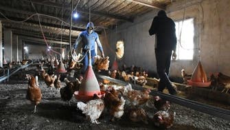 China reports first human case of H10N3 bird flu, spreading is low risk