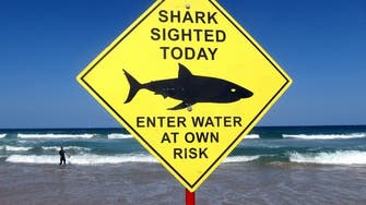 Surfer killed in shark attack on Australia’s east coast