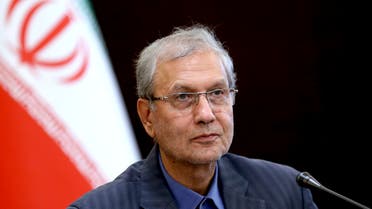Iran's government spokesman Ali Rabiei speaks in a press briefing in Tehran, Iran. (AP)
