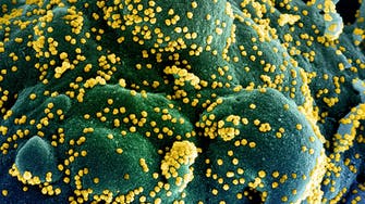 Coronavirus: Could COVID-19 be seasonal?