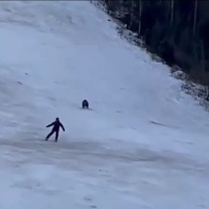 فيديو مرعب.. "أسرع، أسرع، لا تنظر خلفك الدب يطاردك!"
