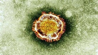 "نيباه".. الغارديان تنشر تقريراً عن فيروس جديد فتاك أخطر من كورونا