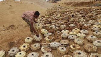 فيديو.. تفكيك شبكات ألغام حوثية شمال وغرب اليمن