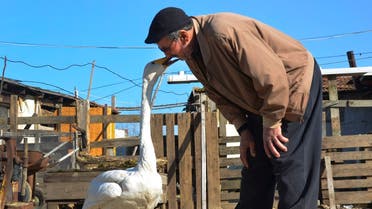 Recep Mirzan, a 63-year-old retired postman talks to Garip in his farmhouse outside Karaagac, in Turkey's western Edirne province, bordering Greece, Saturday, Feb. 6, 2021. (AP/Ergin Yildiz)