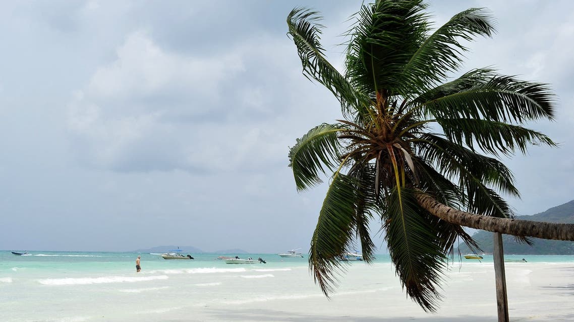 View a palm tree on a beach on Praslin island, Seychelles (AFP)