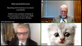 Lawyer with cat filter on during Zoom video hearing tells judge ‘I’m not a cat’