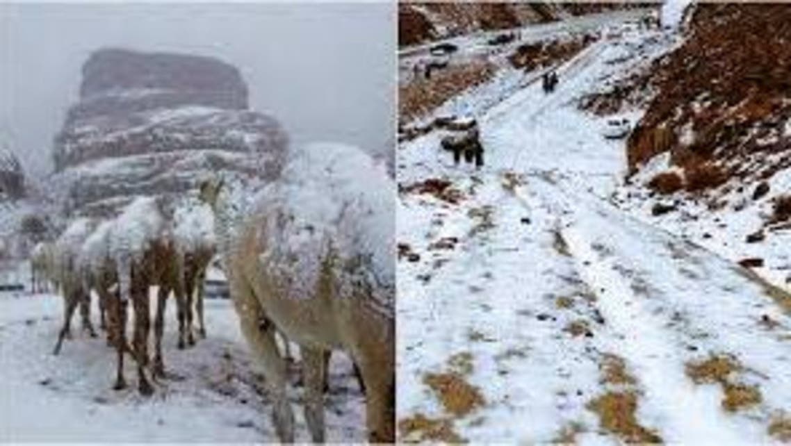 saudi arab snow