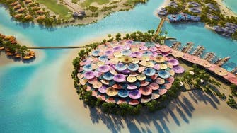 سعودی ولی عہد کانیا منصوبہ؛ بحیرہ احمرکے جزیرے میں لگژری’’کورل بلوم‘‘ کا افتتاح 
