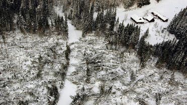 An aerial view of the main road to the village of Podbanske in the High Tatra mountains in Slovakia November 22, 2004. (Reuters)