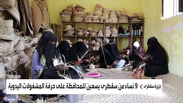 هذه قصة 9 نساء من جزيرة سقطرى اليمنية