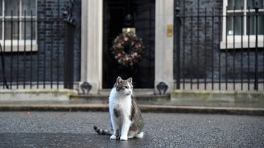Larry the cat sits outside 10 Downing Street in London, Britain December 15, 2020. REUTERS/Toby Melville