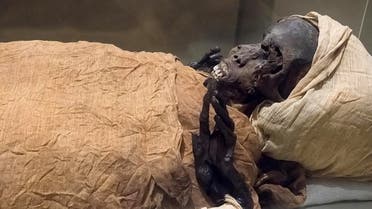 A handout picture released on February 17, 2021 shows a view of the mummy of ancient Egyptian King Seqenenre-Taa-II. (Egyptian Ministry of Antiquities/AFP)