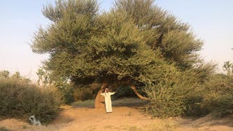 سعودی شہری کا 26 سال سے صحرائوں کو نخلستانوں میں بدلنے کا مشن