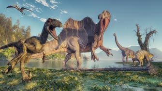 هذا هو سبب انقراض الديناصورات.. دراسة تكشف جديداً