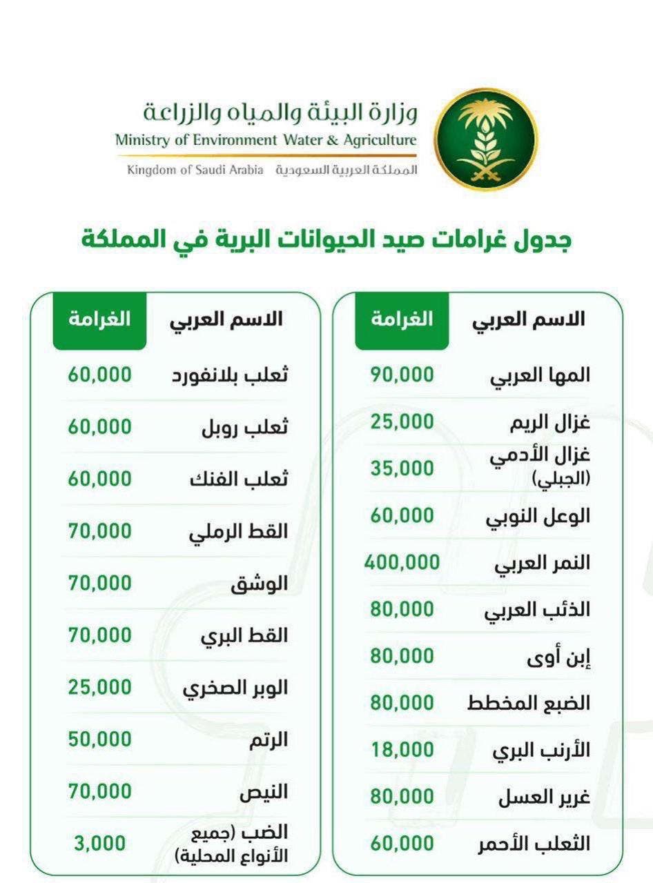 قيمة غرامات صيد الحيوانات البرية في السعودية Toysmatrix