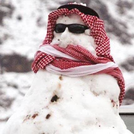 صور طريفة.. هكذا احتفى السعوديون بالثلوج!