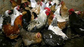 Russia detects first case of H5N8 bird flu transmission to humans