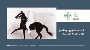 Rear Picture of Salman bin Abdulaziz