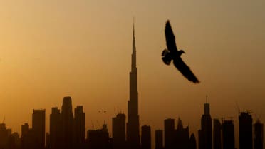 A seagull flies pass the view of city skyline and the world tallest tower, Burj Khalifa, in Dubai, United Arab Emirates. (AP)