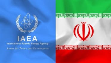 The logo of U.N. nuclear watchdog International Atomic Energy Agency and Iran's flag. (Twitter)