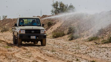 More than 15 thousand scientific spraying to control locusts in Saudi Arabia within a year 
