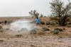 More than 15 thousand scientific spraying to control locusts in Saudi Arabia within a year 