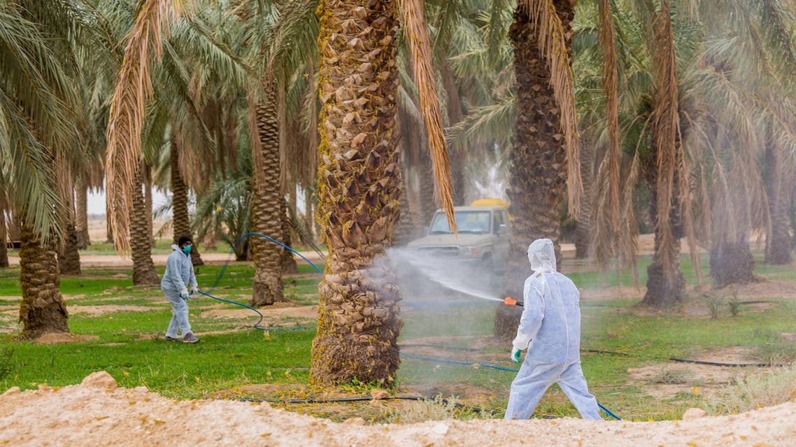مكافحة الجراد
