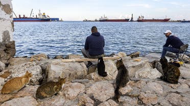 Cats sit in waiting behind men casting their lines while fishing at the port of Sousse, about 140 kilometres south of Tunisia's capital. (AFP)