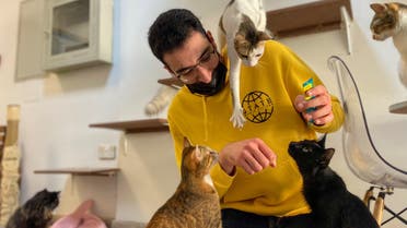 A man plays with the cats at the Ailuromania Cat Cafe, where customers can relax among purring felines or adopt a stray cat in Dubai, United Arab Emirates February 25, 2021. Picture taken February 25, 2021. (Reuters)