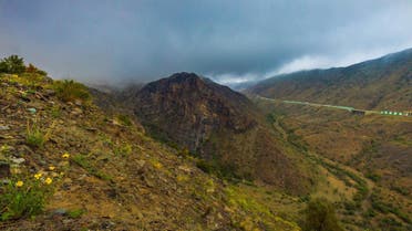 See green mountains in this Saudi city 