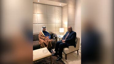 Qatari FM Sheikh Mohammed bin Abdulrahman al-Thani and Egyptian FM Sameh Shoukry meet in Cairo, March 3, 2021. (Twitter/EgyptMFASpokesperson)