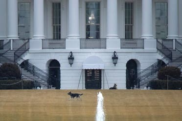 US President Joe Biden's dogs Champ and Major, known as the First Dogs, are seen on the South Lawn at the White House in Washington, US. (Reuters)
