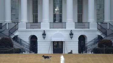 US President Joe Biden's dogs Champ and Major, known as the First Dogs, are seen on the South Lawn at the White House in Washington, US. (Reuters)