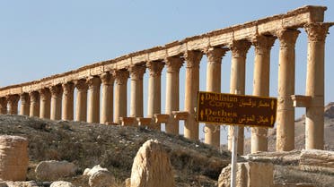 من تدمر الملقبة بـ لؤلؤة الصحراء(أرشيفية- فرانس برس)