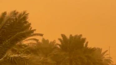 Saudi Sandstorm 1203