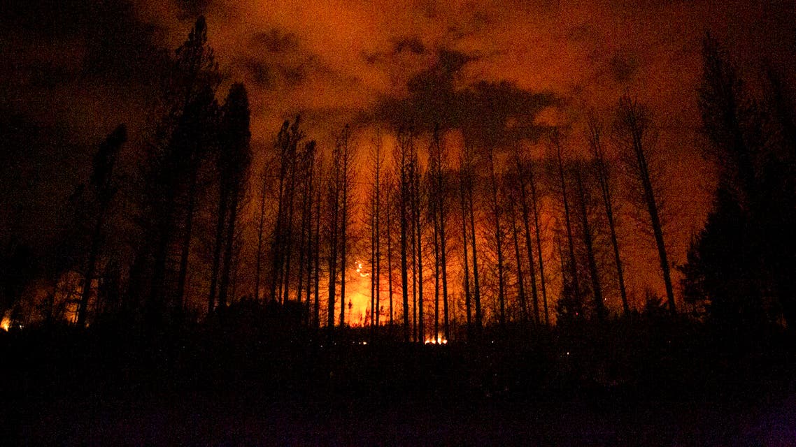 Flames from a fire work their way through a forested area in Las Golondrinas, Chubut province, Argentina, Wednesday, March 10, 2021. (AP Photo/Matias Garay )