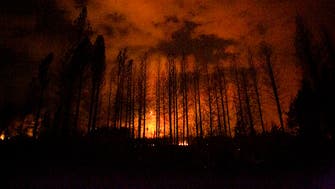 Protesters attack bus carrying Argentine president on forest fire visit