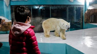 Chinese ‘polar bear hotel’ opens to full bookings, criticism