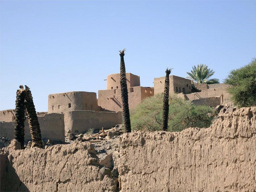 فدک میں پرانے قلعوں میں القلعہ الحبس، قلعہ جریدہ، قلعہ الغاز، قلعہ ابو شجرہ،  قلعہ الحسکانیہ، قلعہ الفدیحہ، الغابہ، البدیعہ اور الزبرہ کے قلعے مشہور ہیں۔