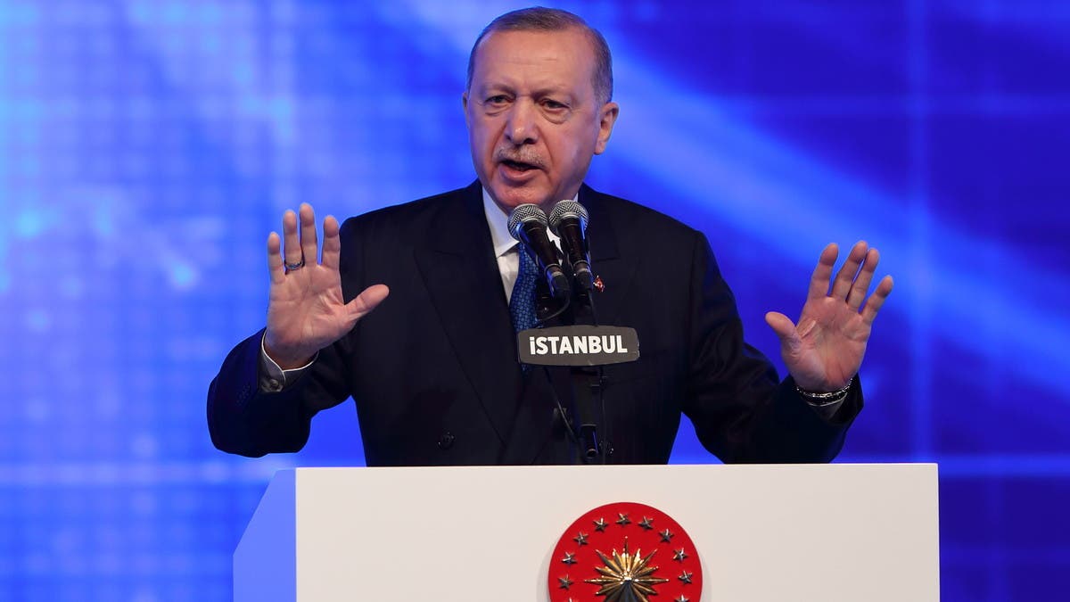 Erdogan to talk about eastern Mediterranean, other issues with EU ahead of  sumit