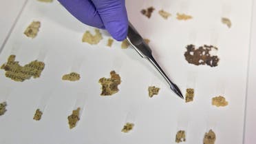 Israel Antiquities Authority conservator Tanya Bitler shows newly discovered Dead Sea Scroll fragments at the Dead Sea scrolls conservation lab in Jerusalem, Tuesday, March 16, 2021. (AP)
