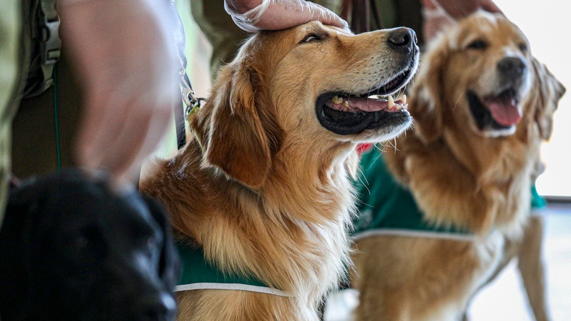 olice handlers pet their COVID-19 sniffer dogs after a demonstration to the press at the Arturo Merino BenÃtez International Airport in Santiago, Chile, Monday, Dec. 21, 2020. (File photo: AP)