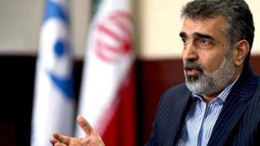 سخنگوی سازمان انرژی اتمی ایران: دو نیروگاه اتمی دیگر می‌سازیم ‎