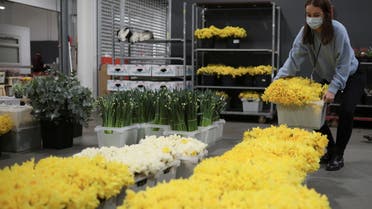 Cassie Burt, marketing and communications manager of Covent Garden Market Authority, prepares flowers during the day of reflection to mark the anniversary of Britain's first coronavirus disease (COVID-19) lockdown, at the New Coven Garden Flower Market in London, Britain, March 23, 2021. (File photo: Reuters)