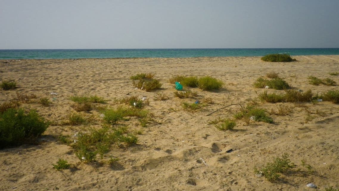 General view of a beach in Umm al Quwain, UAE. (Sam Nabi via Flickr)