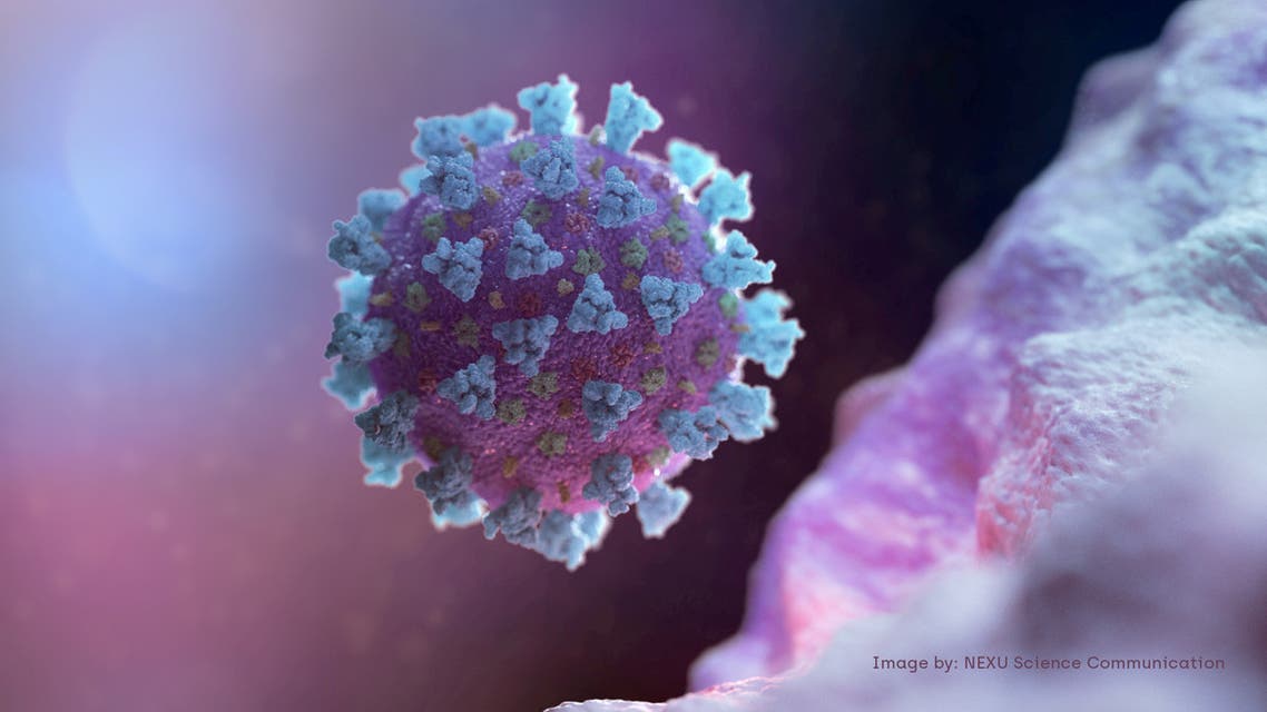 FILE PHOTO: A computer image created by Nexu Science Communication together with Trinity College in Dublin, shows a model structurally representative of a betacoronavirus which is the type of virus linked to COVID-19, better known as the coronavirus linked to the Wuhan outbreak, shared with Reuters on February 18, 2020. (NEXU Science Communication via Reuters)